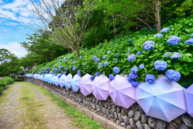 法多山
