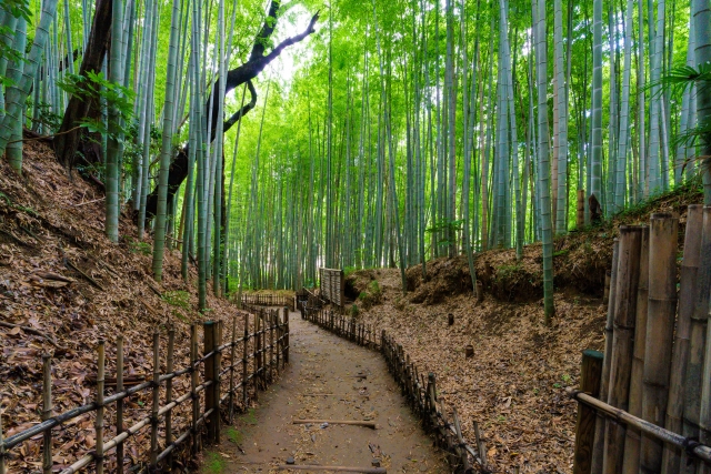 佐倉武家屋敷