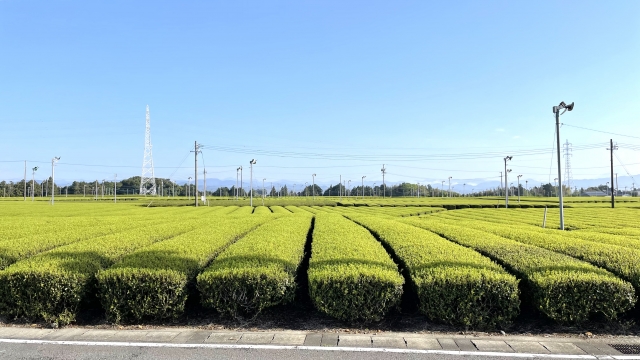 諏訪原城