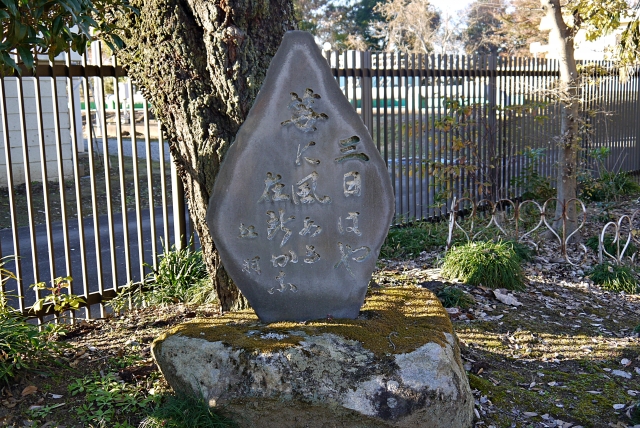 結城城