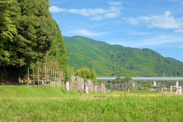 設楽原