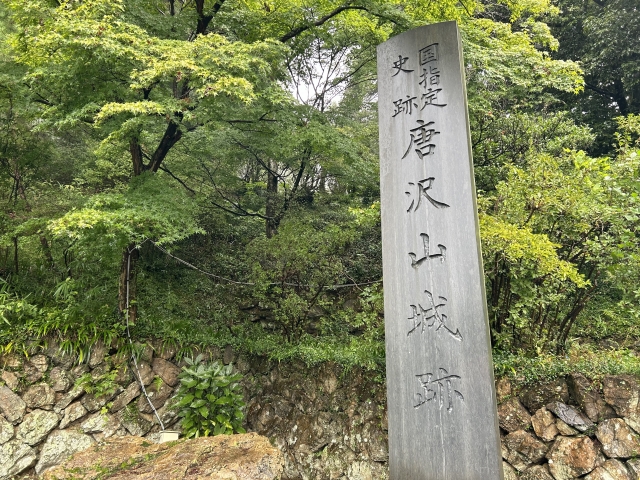 唐沢山城