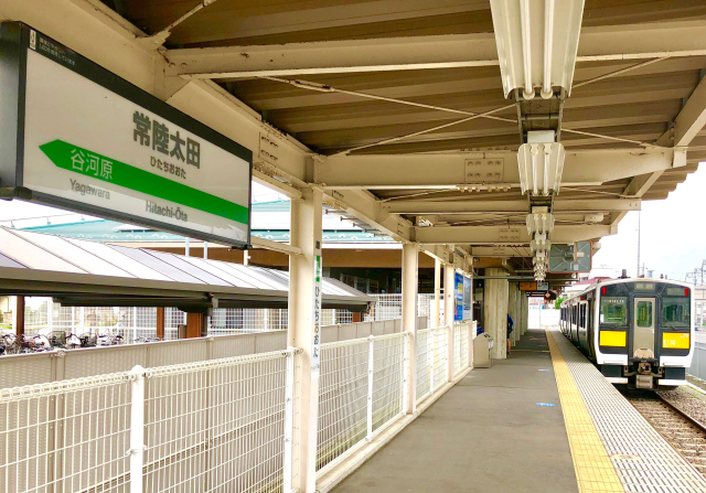 舞鶴城