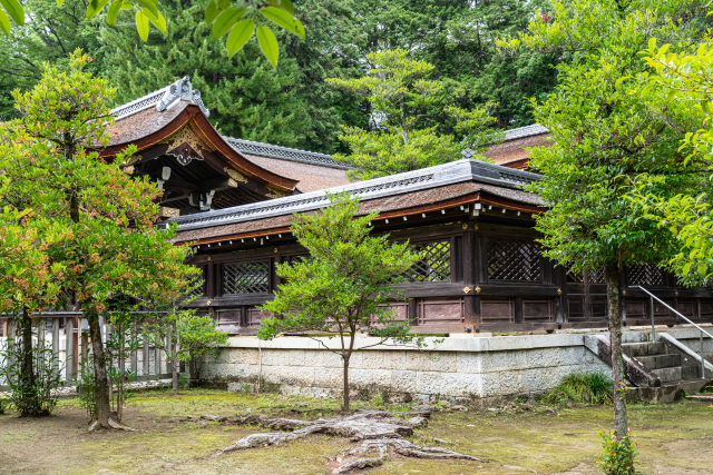 武田神社(躑躅ヶ崎館跡)