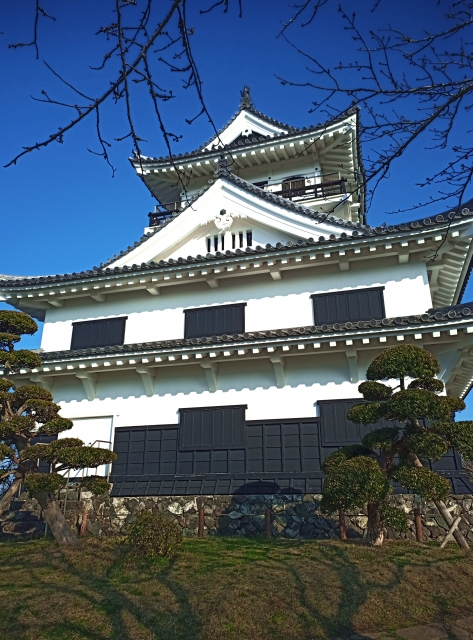里見八