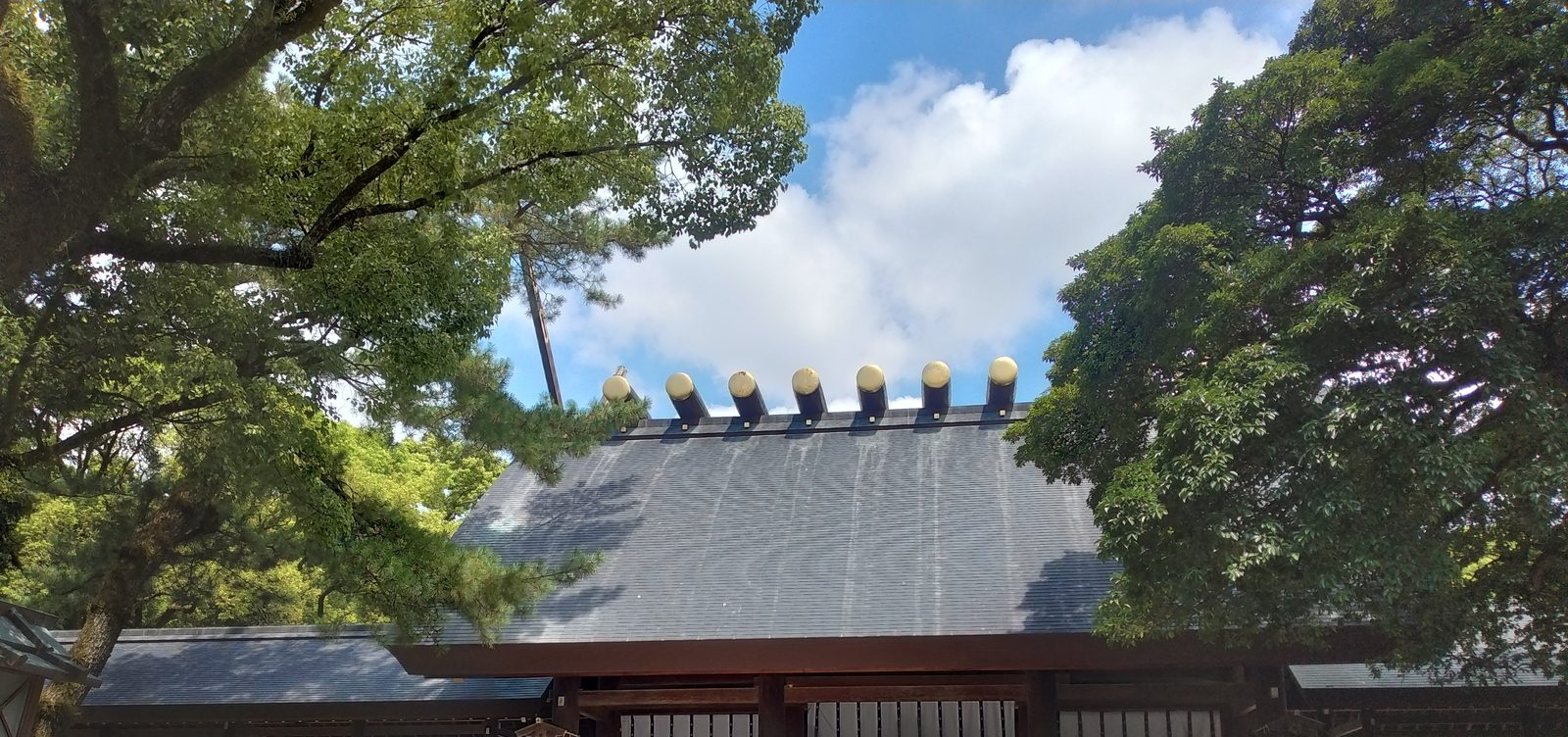 熱田神宮の本宮の屋根と千木・鰹木