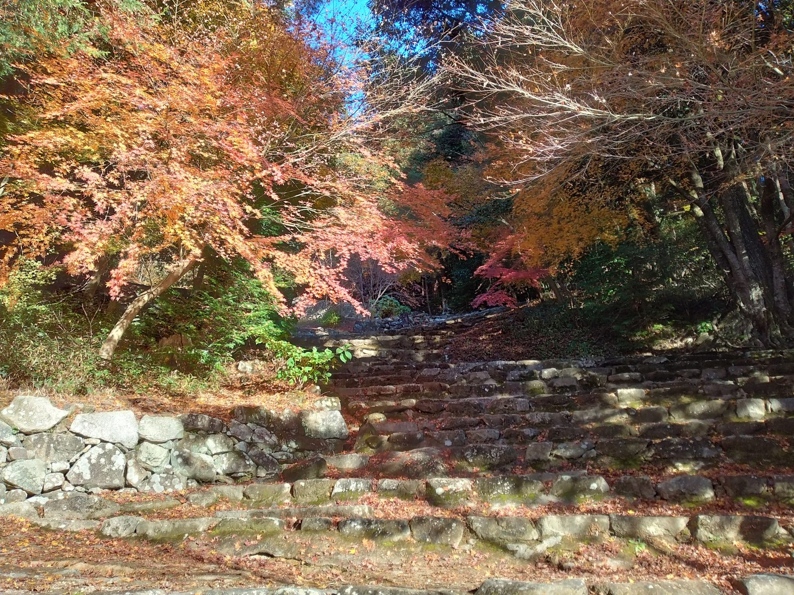 安土城跡の大手道の石段と紅葉