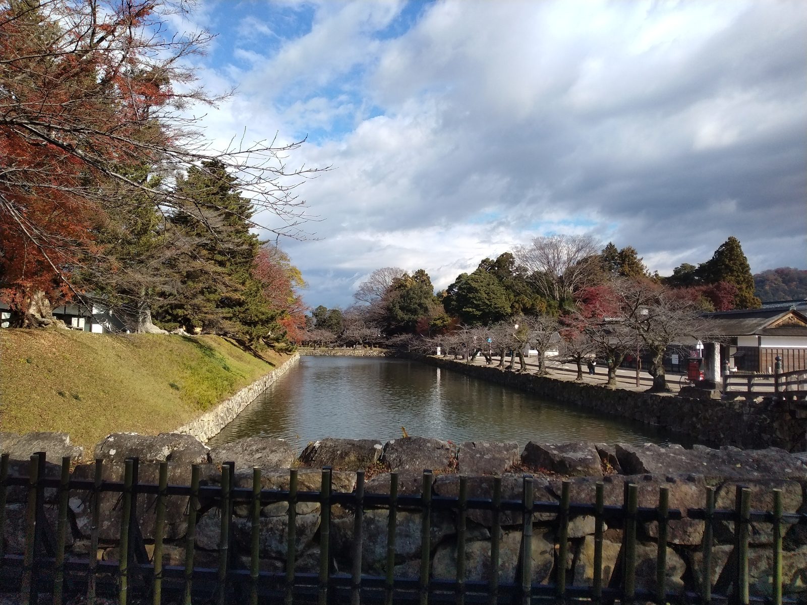 彦根城の内堀と並木