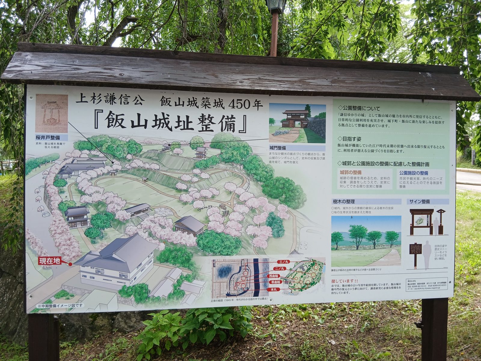 飯山城址(築城450年の整備が進む)