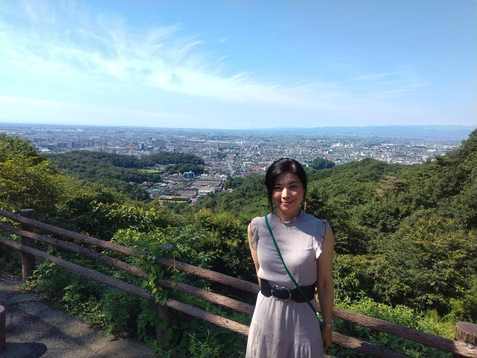史跡金山城跡の石碑