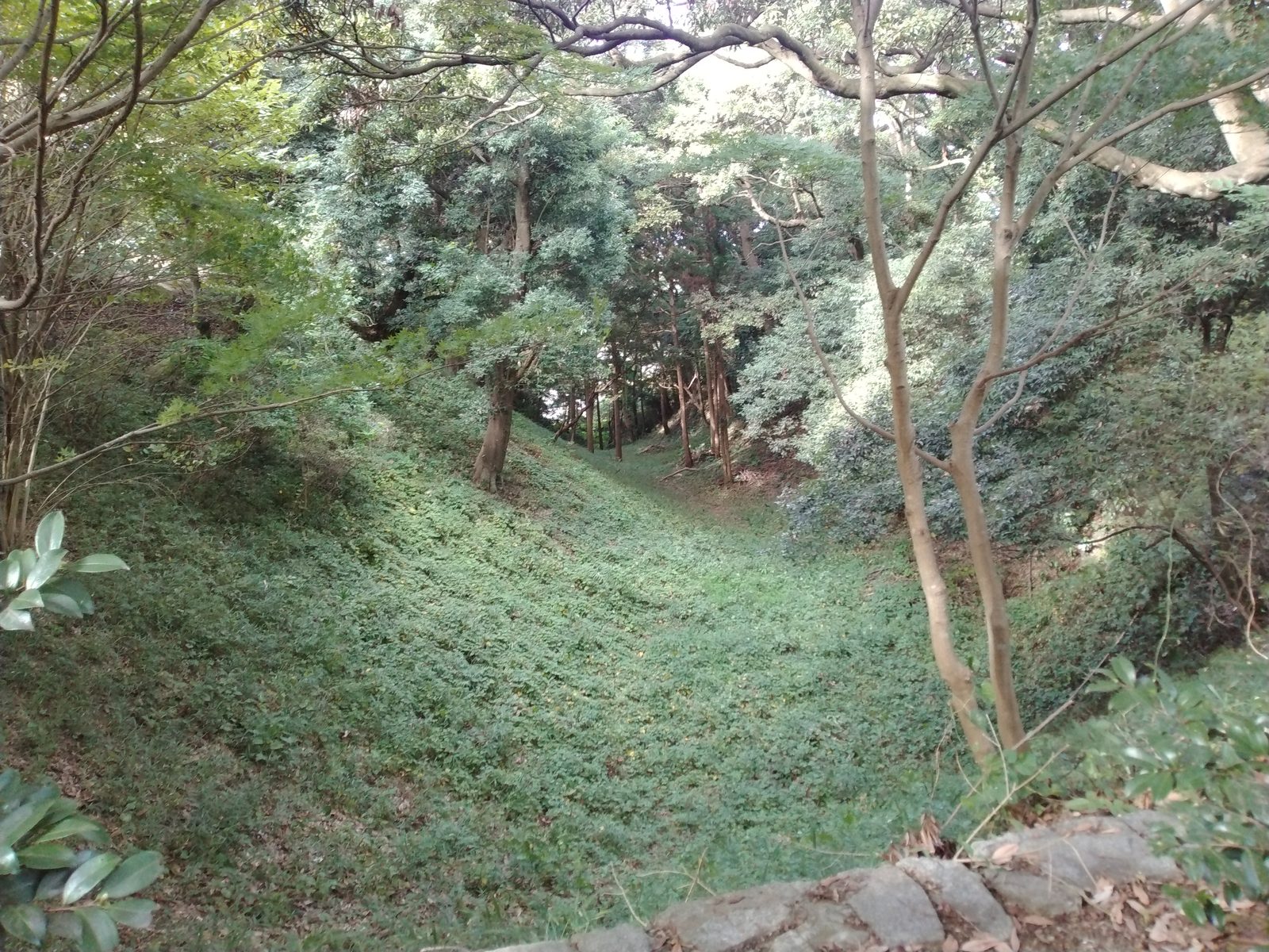 鹿島城跡の空堀の底