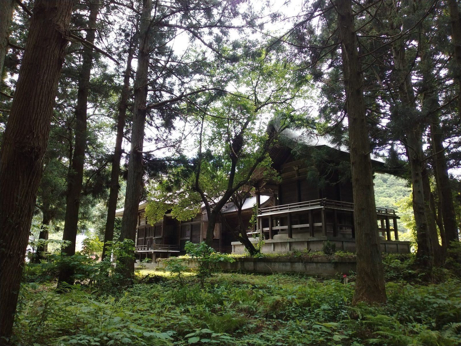 清河神社の参道