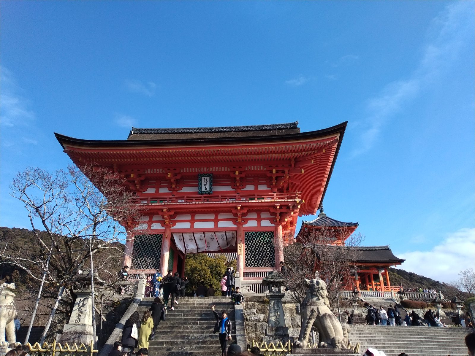 清水寺の仁王門と三重塔