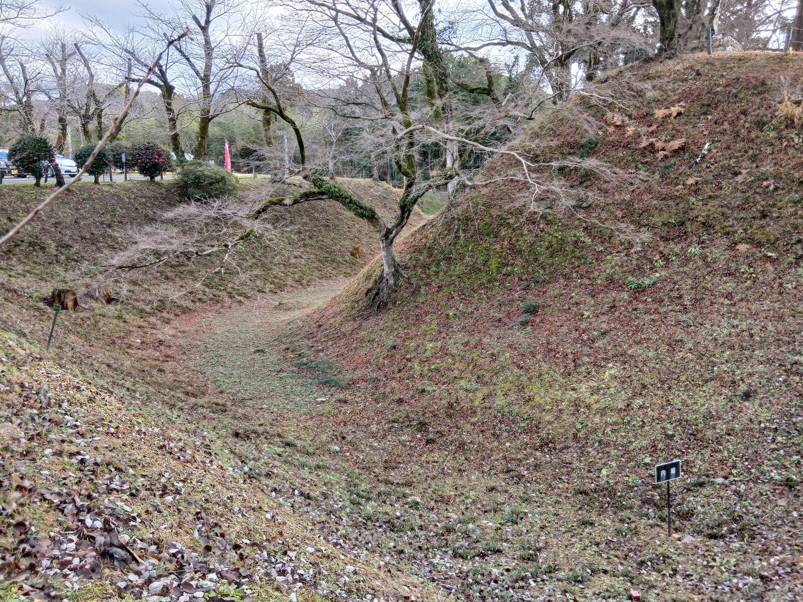 土塁と空堀の遺構