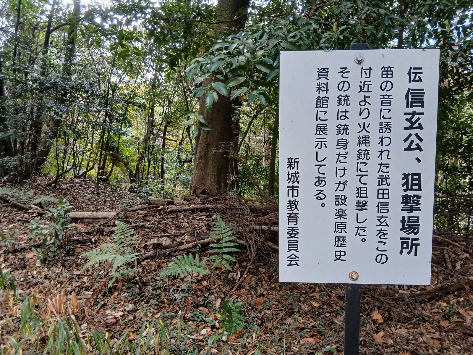 「伝 信玄公、狙撃場所」の案内板