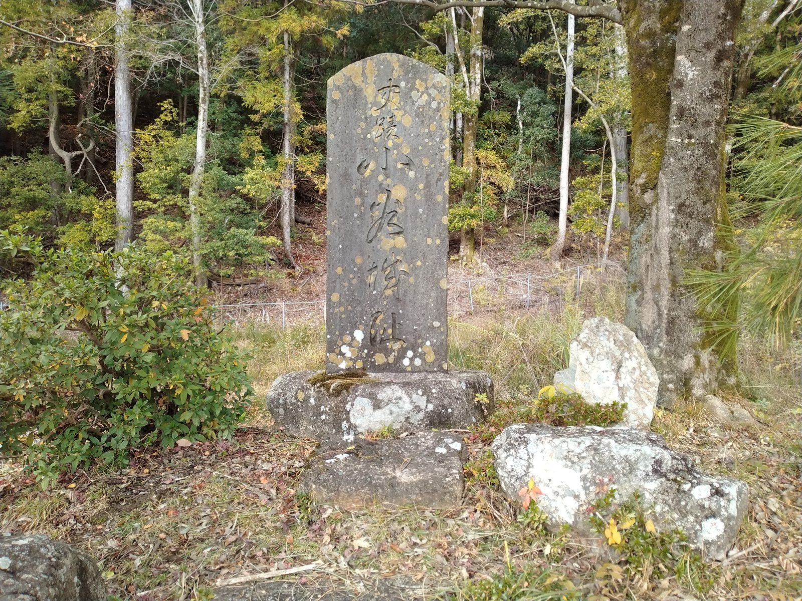 小谷城趾の石碑