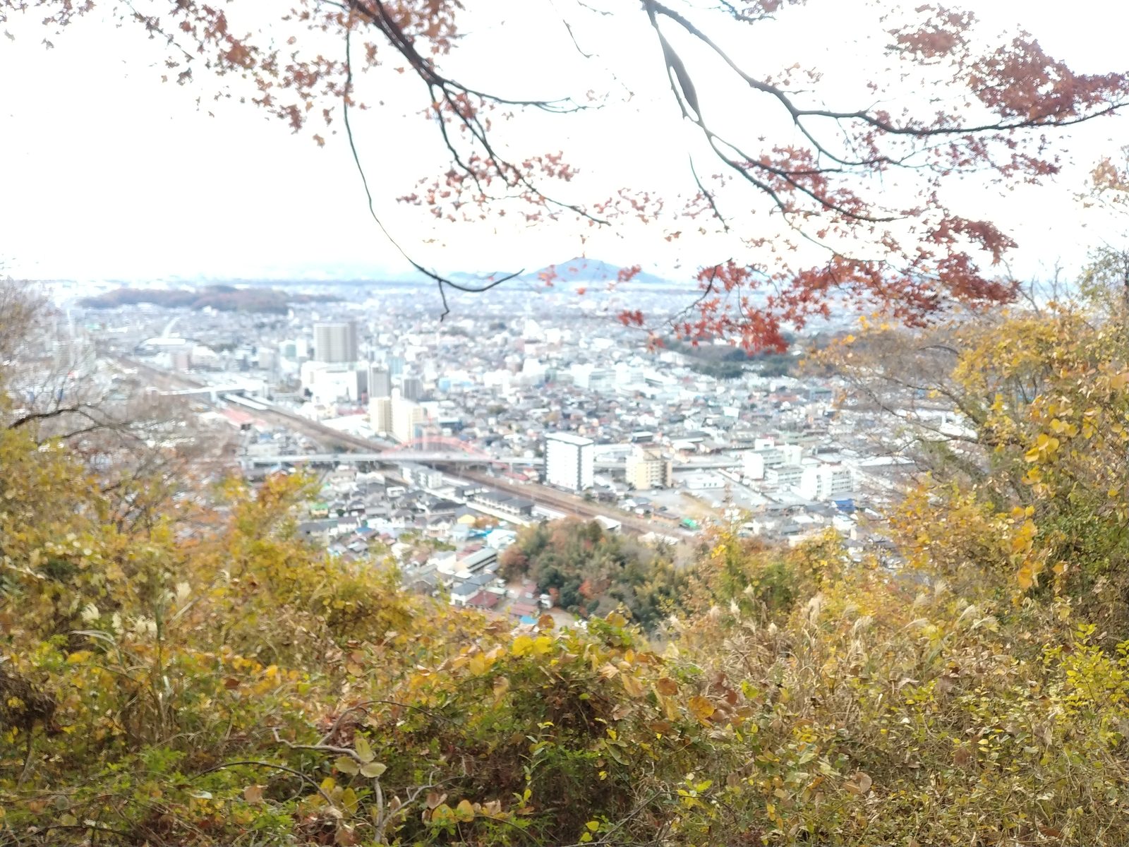 佐和山城本丸跡から見下ろした彦根の市街