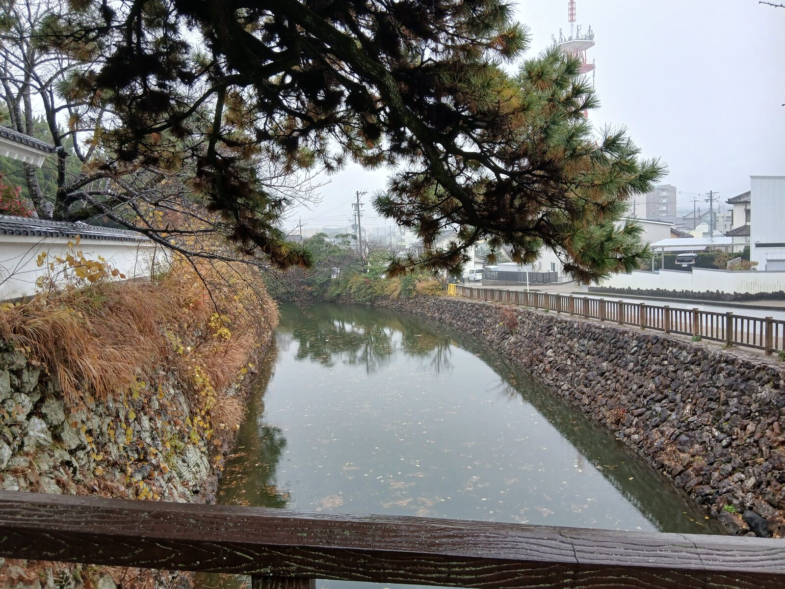 水堀と石垣