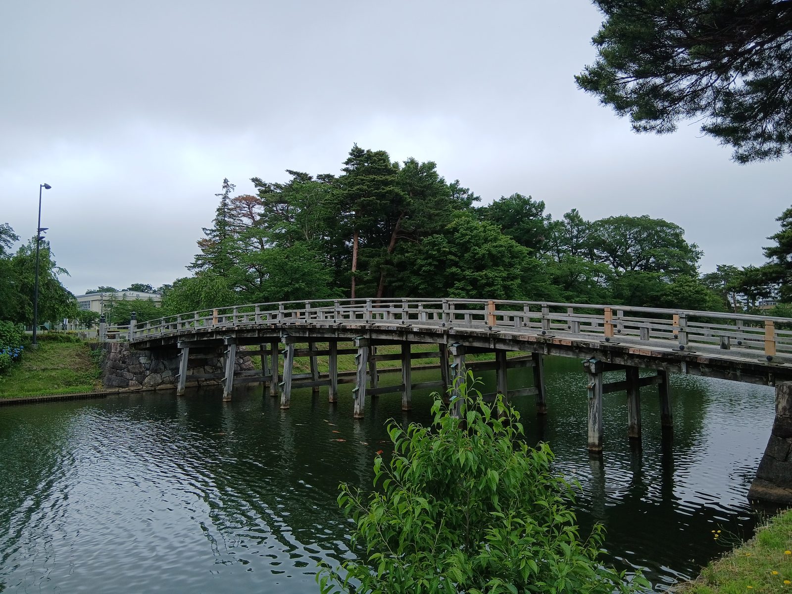高田城址公園、蓮池に架かる極楽橋と三重櫓