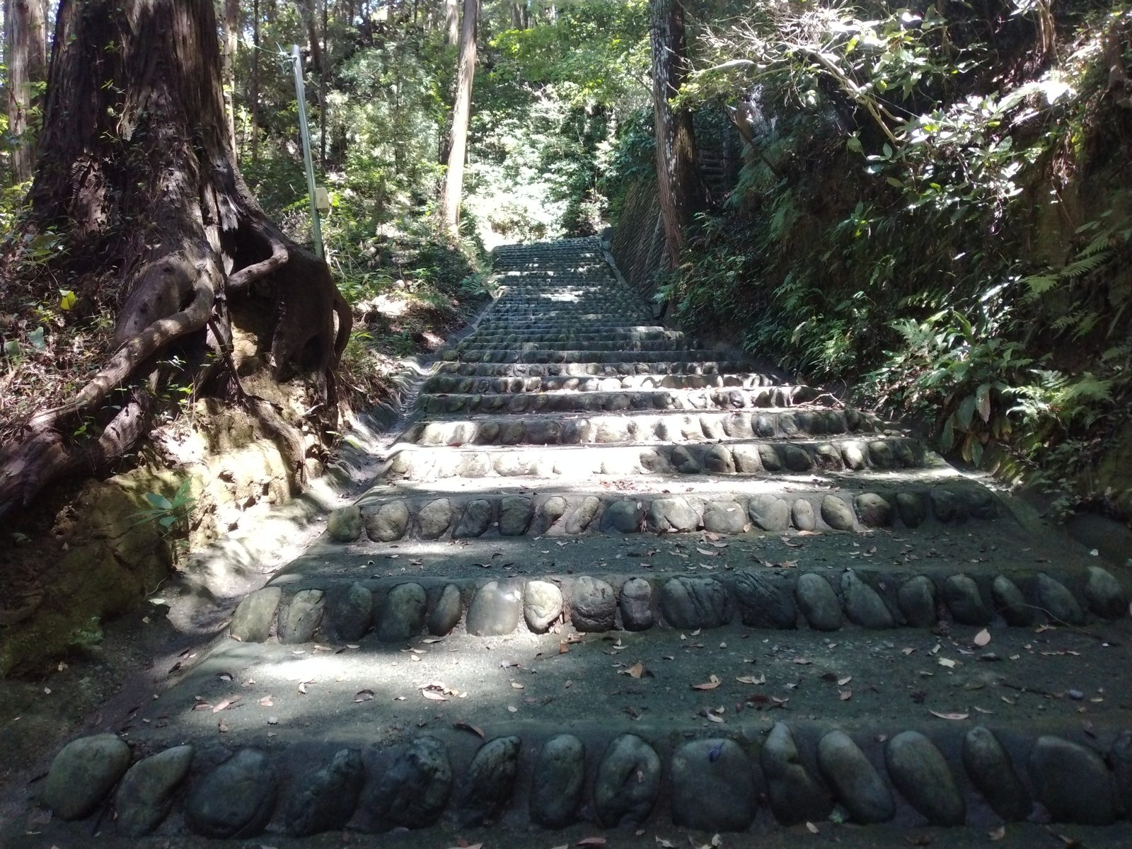 高天神城の登城道の石段