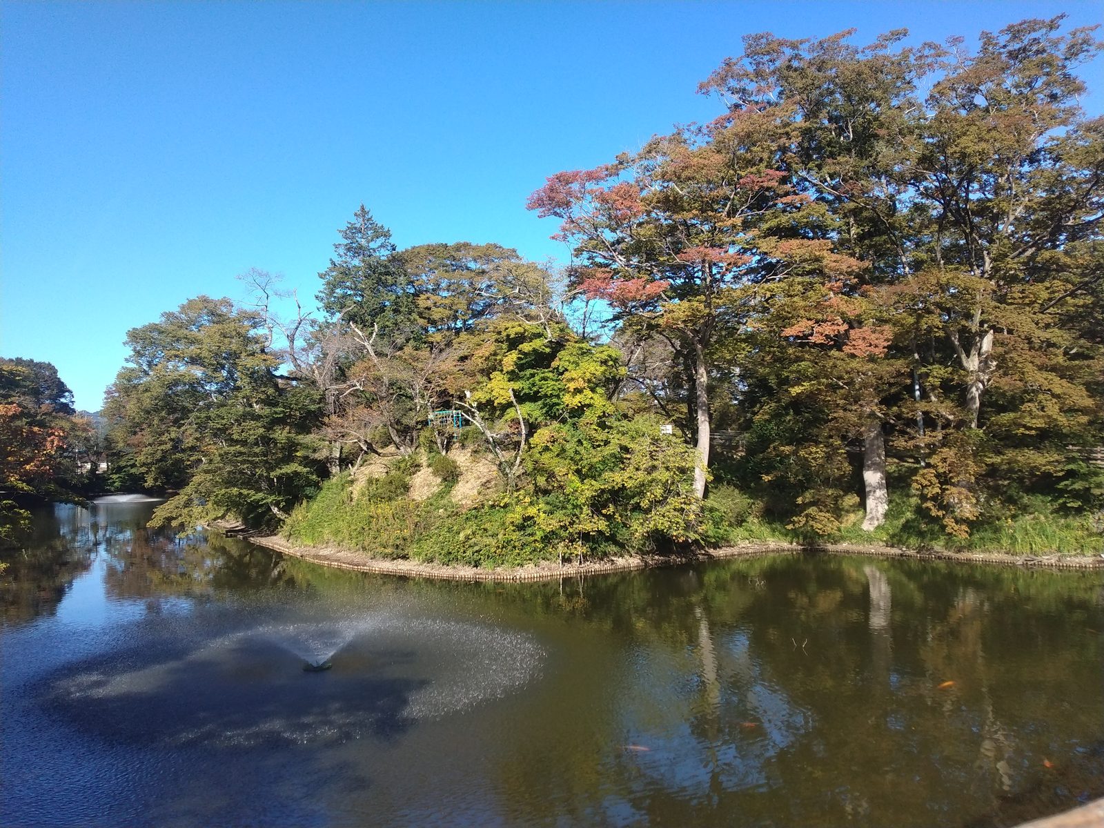 棚倉城の水堀