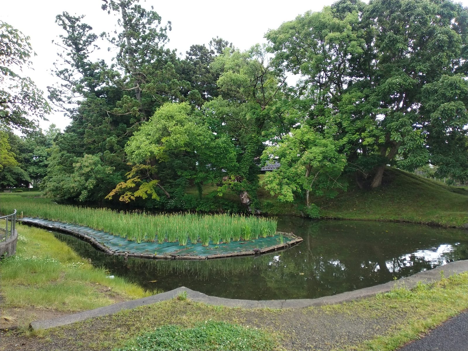 鶴ヶ岡城の堀と菖蒲園