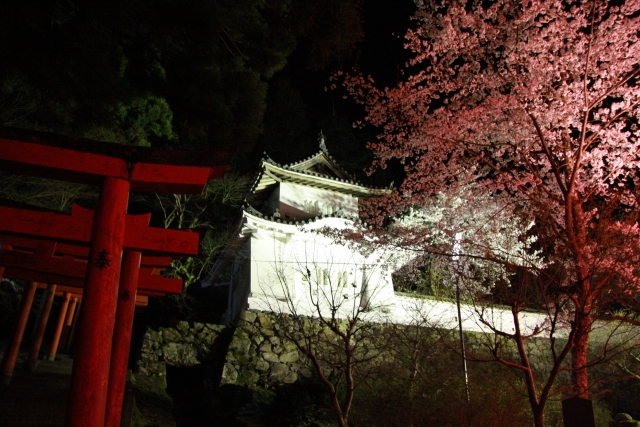 出石城 隅櫓の夜桜とライトアップ