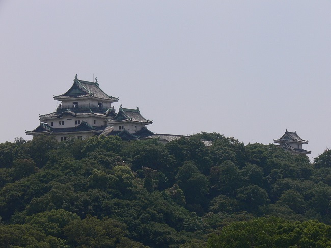 和歌山城 山の上に建つ天守群の遠景
