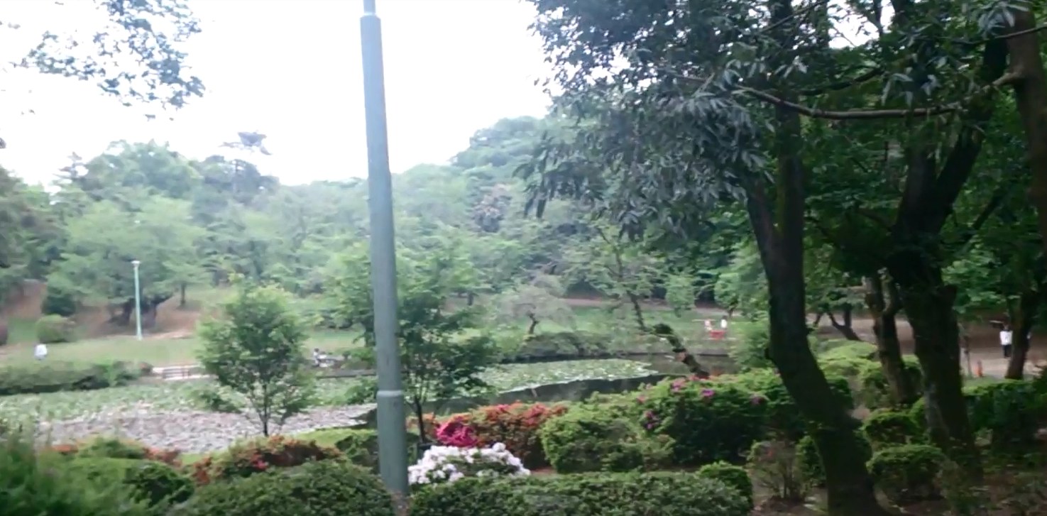 岩槻城址公園の池と土塁