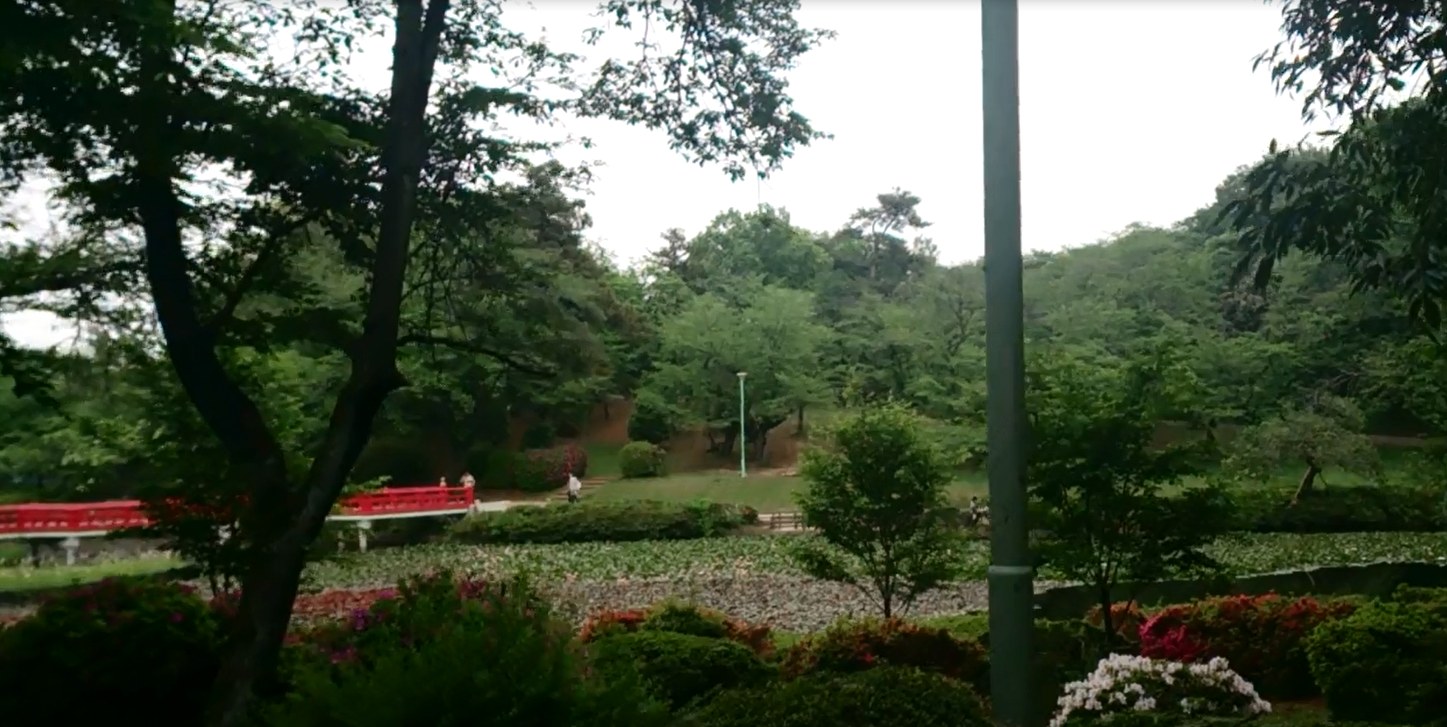岩槻城址公園の池に架かる朱塗りの橋