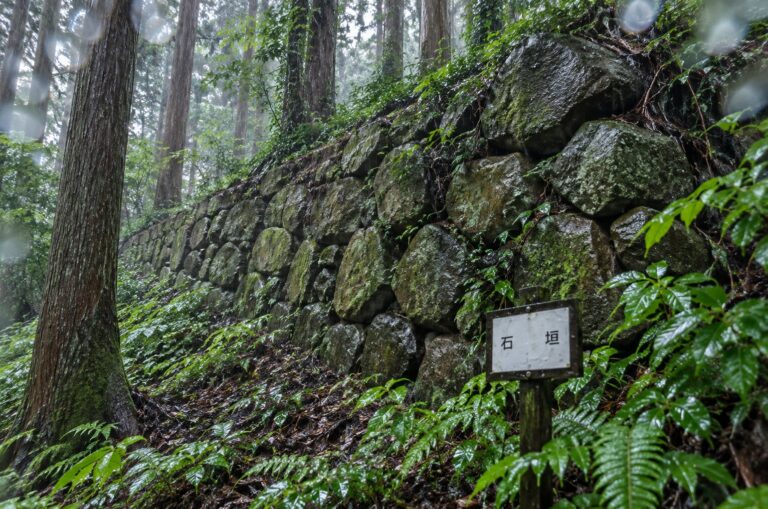 烏山城跡の石垣と標柱
