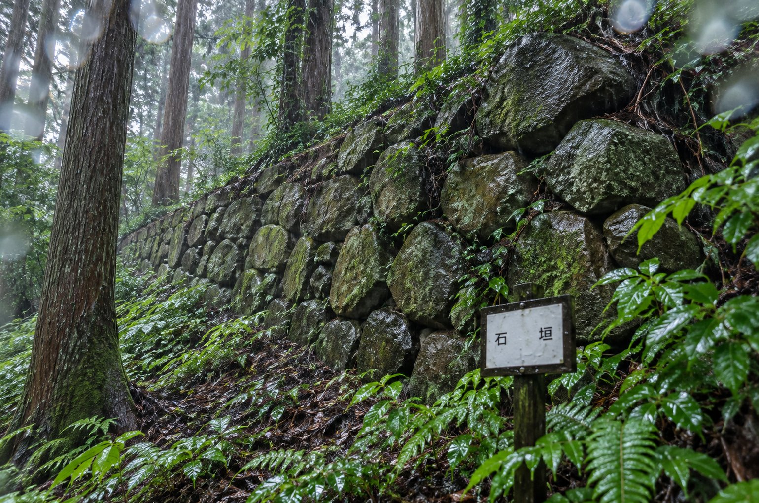 烏山城