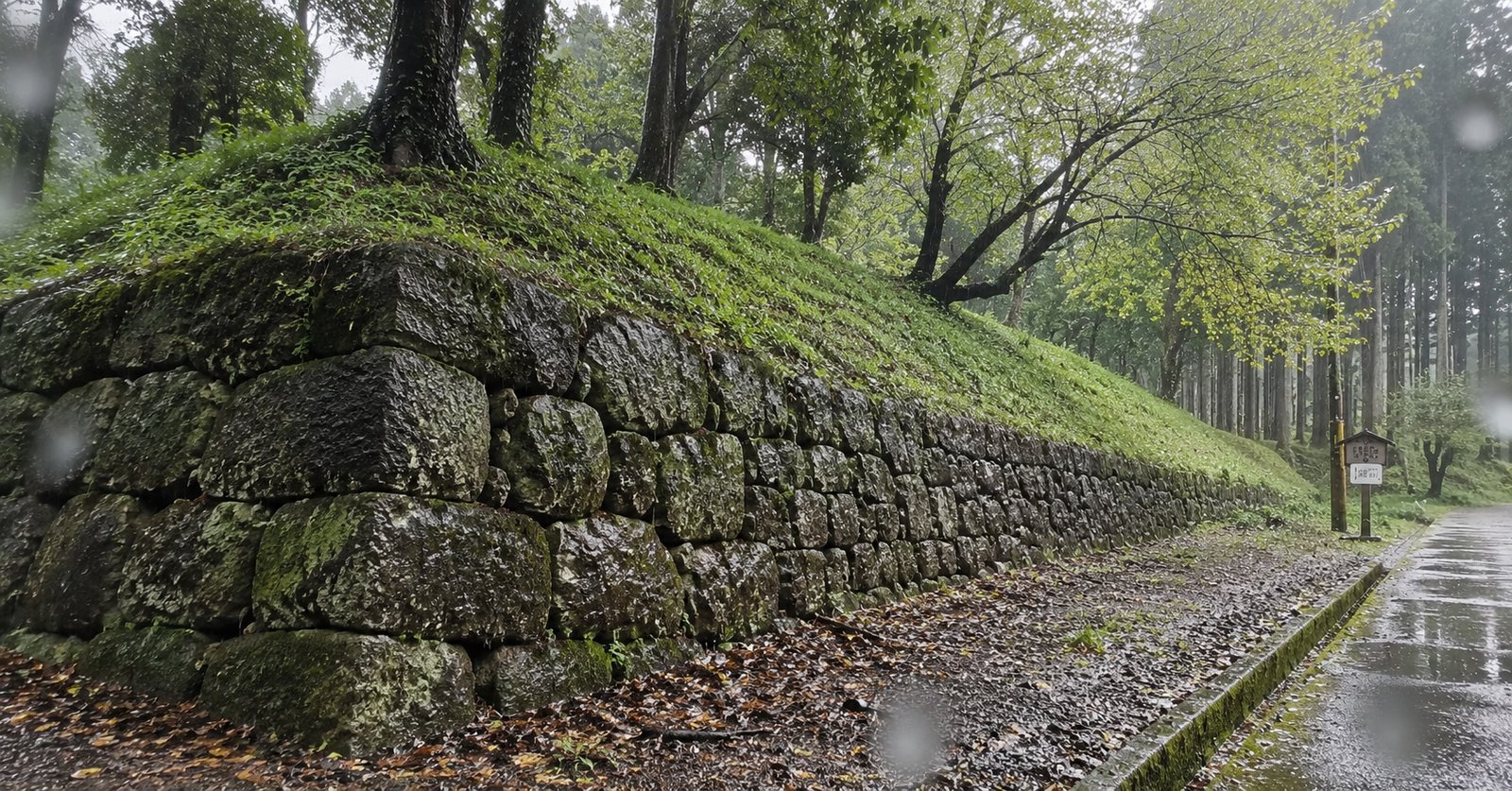 烏山城跡の道沿いに残る石垣