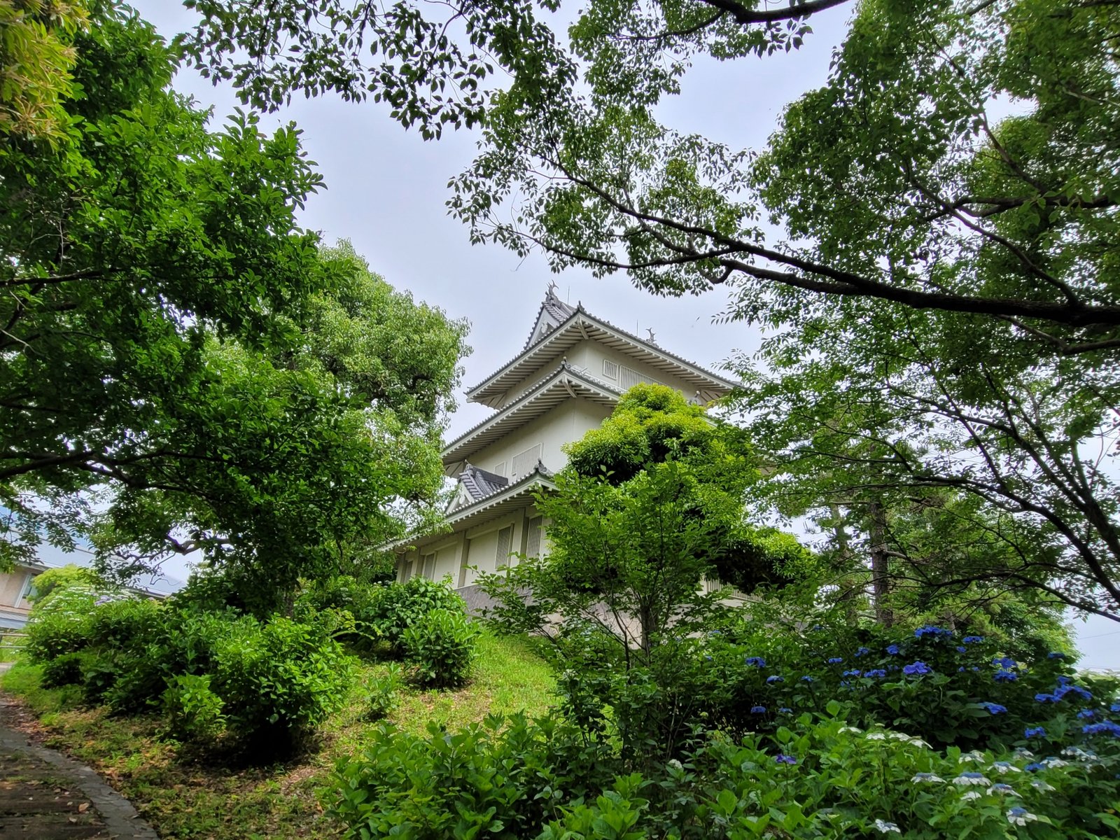 紫陽花の咲く騎西城跡
