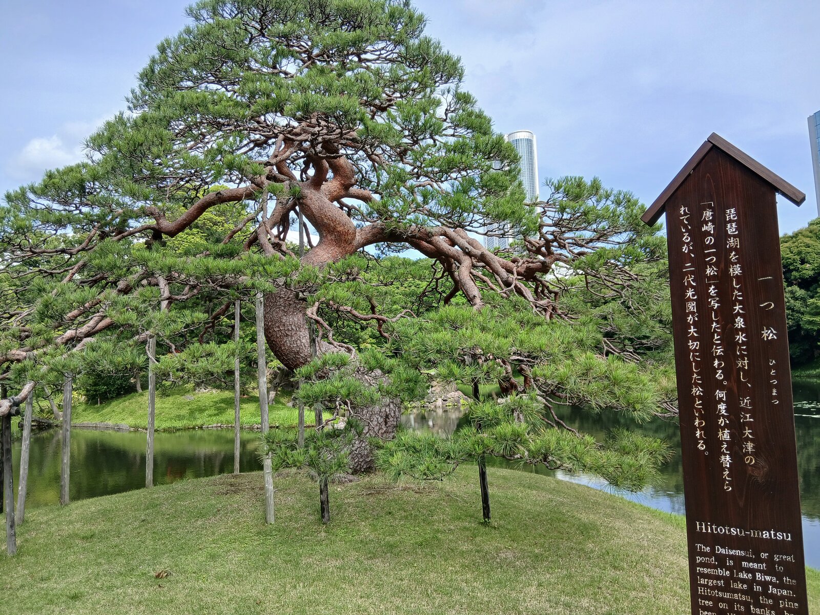 「小石川寺町散歩」の案内図
