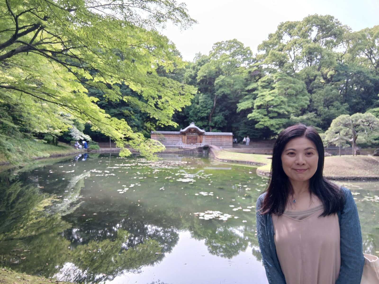 大泉水のほとりの一つ松。琵琶湖・唐崎の松を模したと伝わる