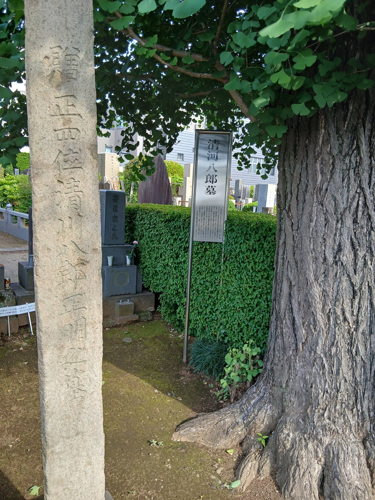 小石川後楽園の入口に立つ石標