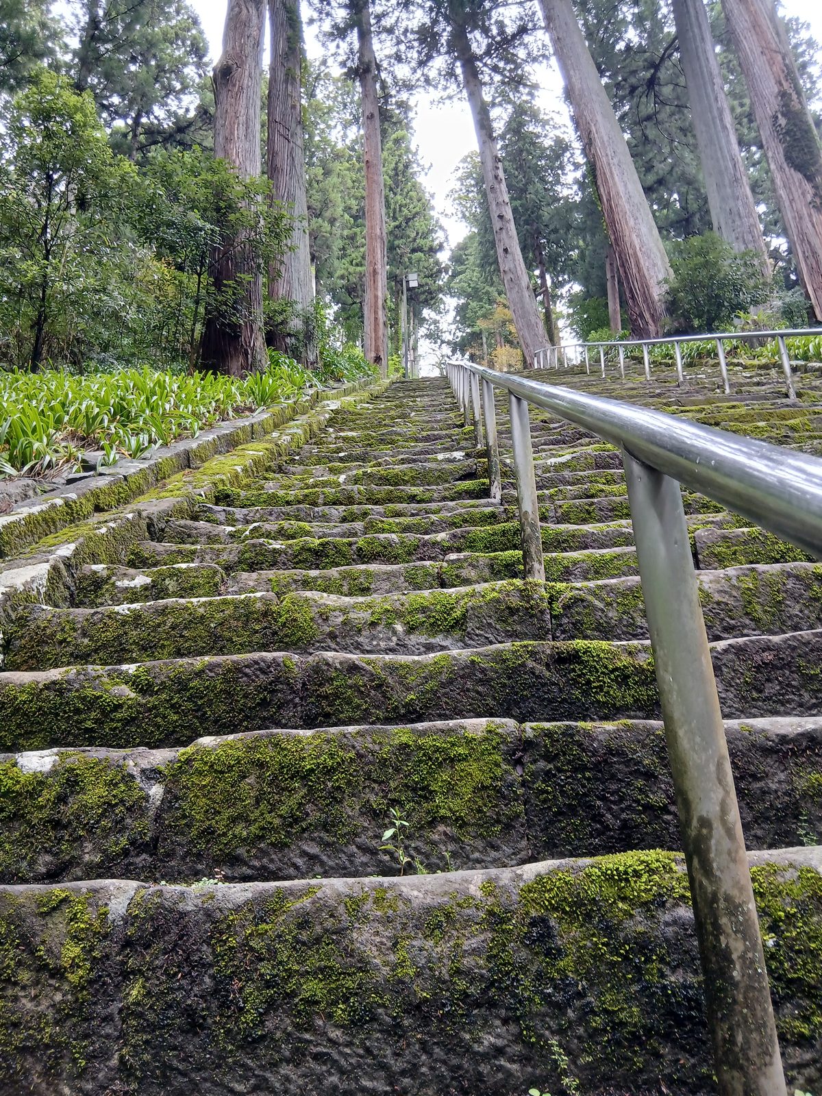 身延山久遠寺