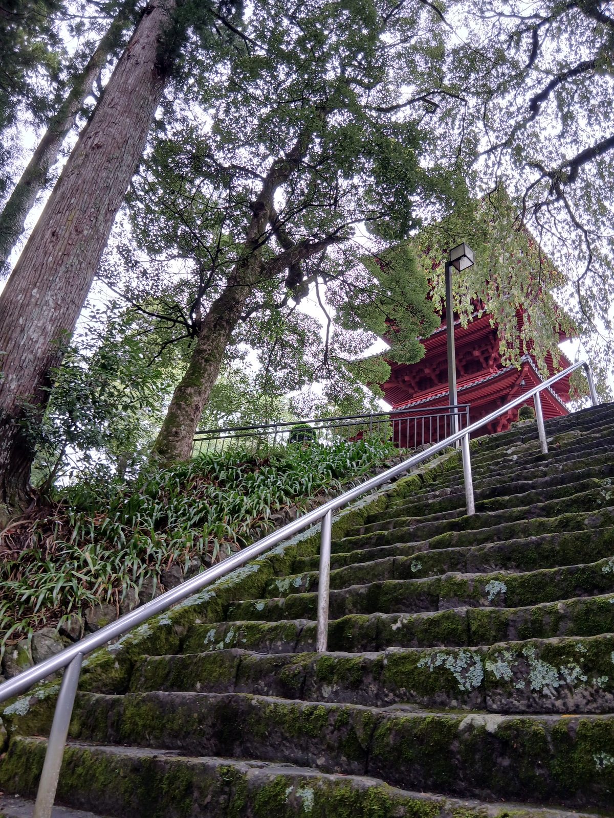 石段を登りきると五重塔が見えた