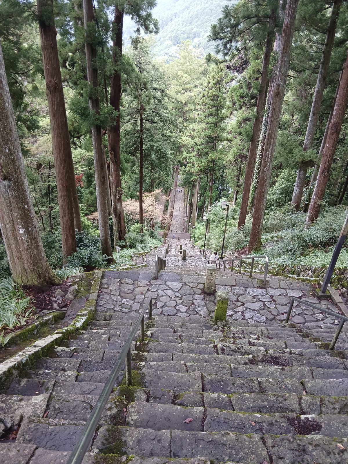 登ってきた菩提梯を見下ろす