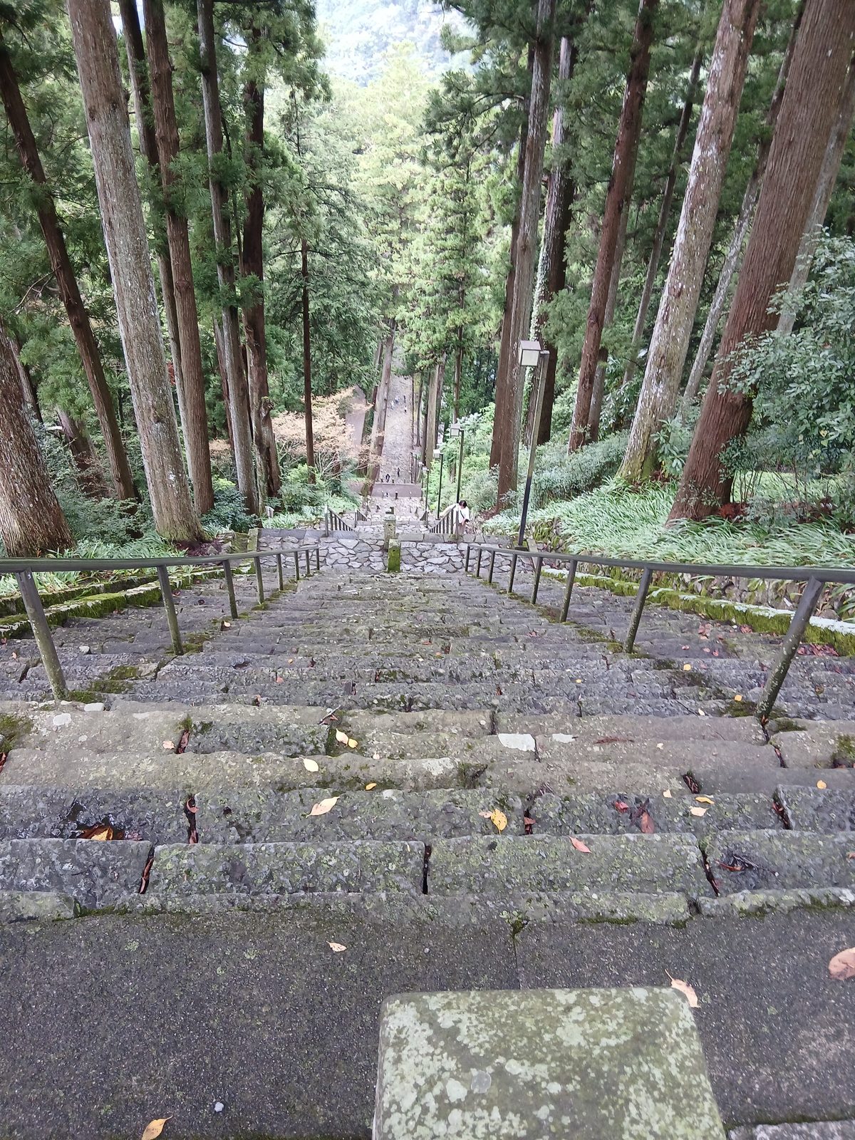 上から見ると、ほとんど崖のようだった
