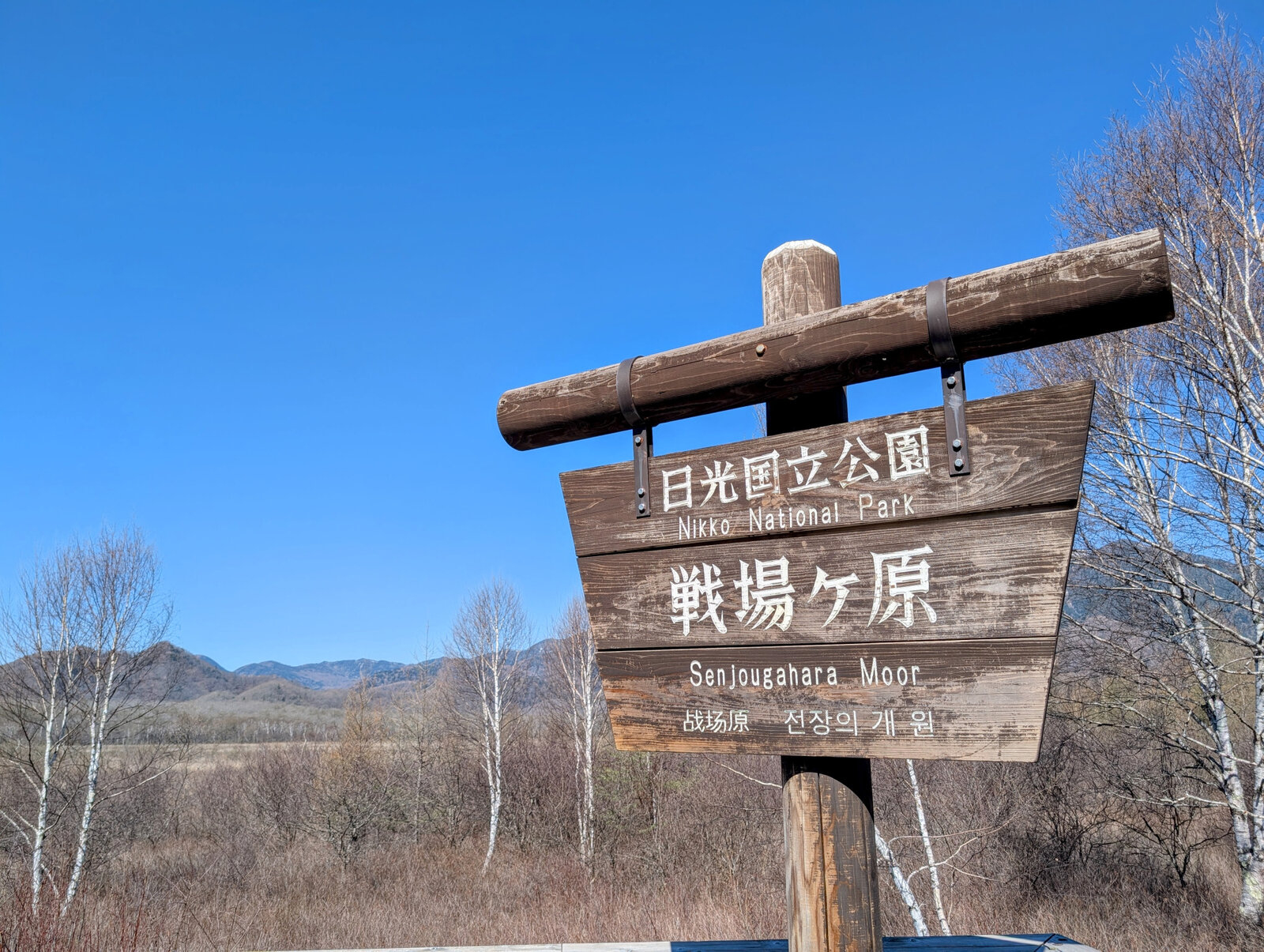 奥日光の戦場ヶ原