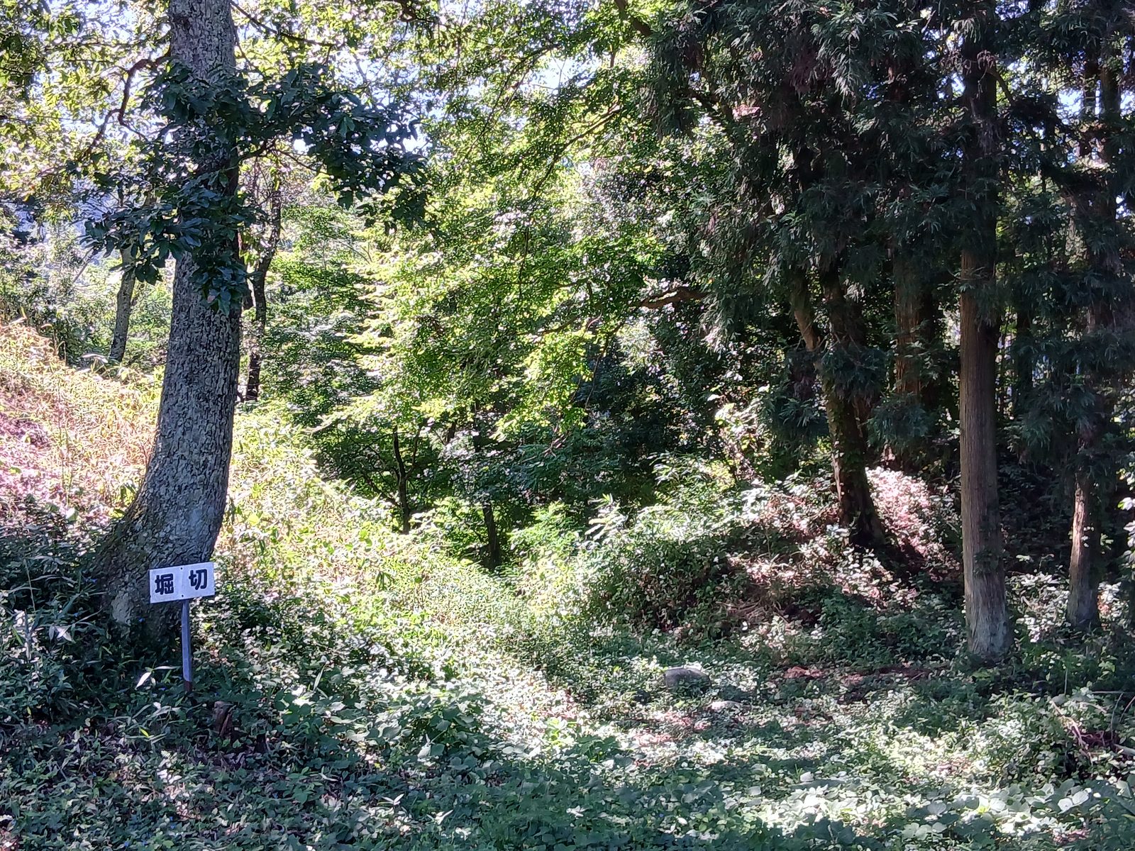 堀切