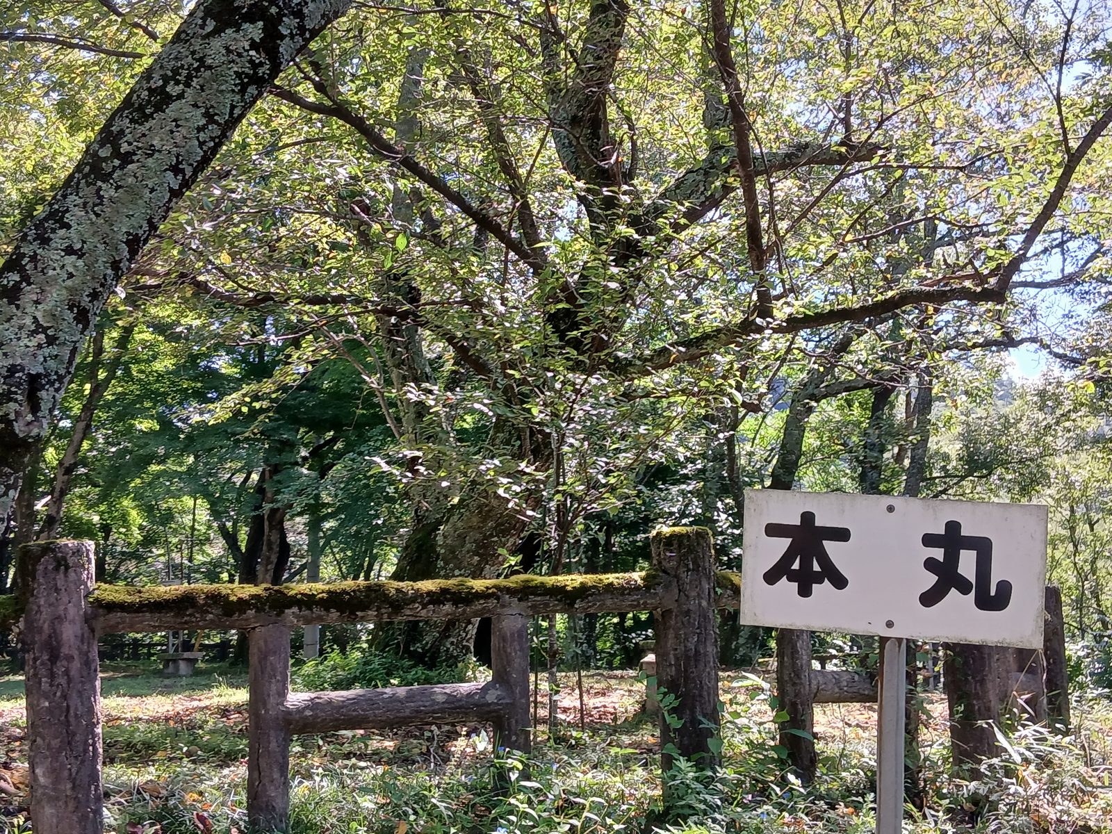 本丸