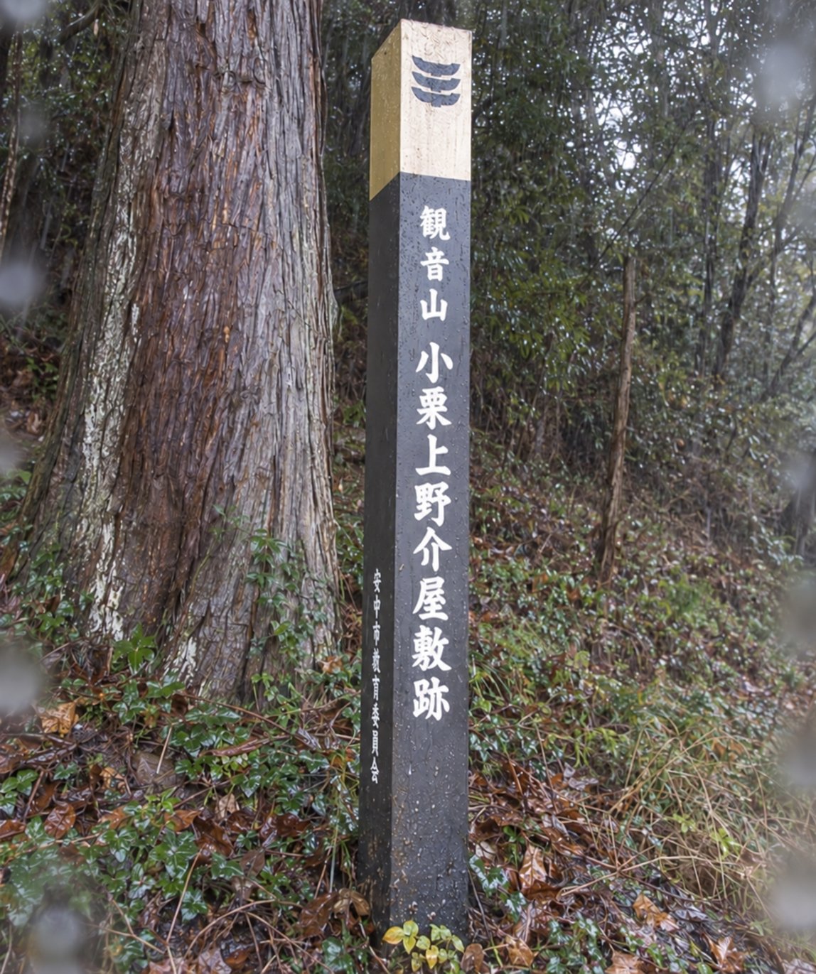 観音山 小栗上野介屋敷跡