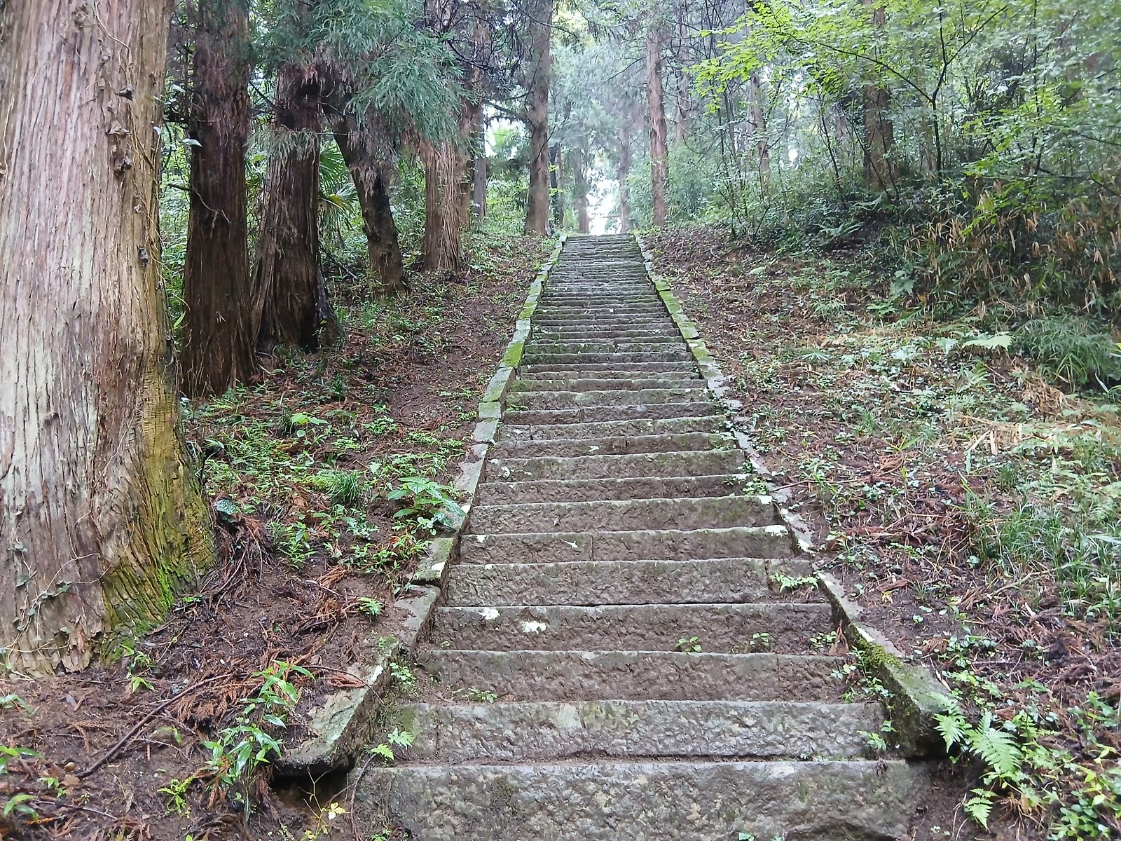 新府城