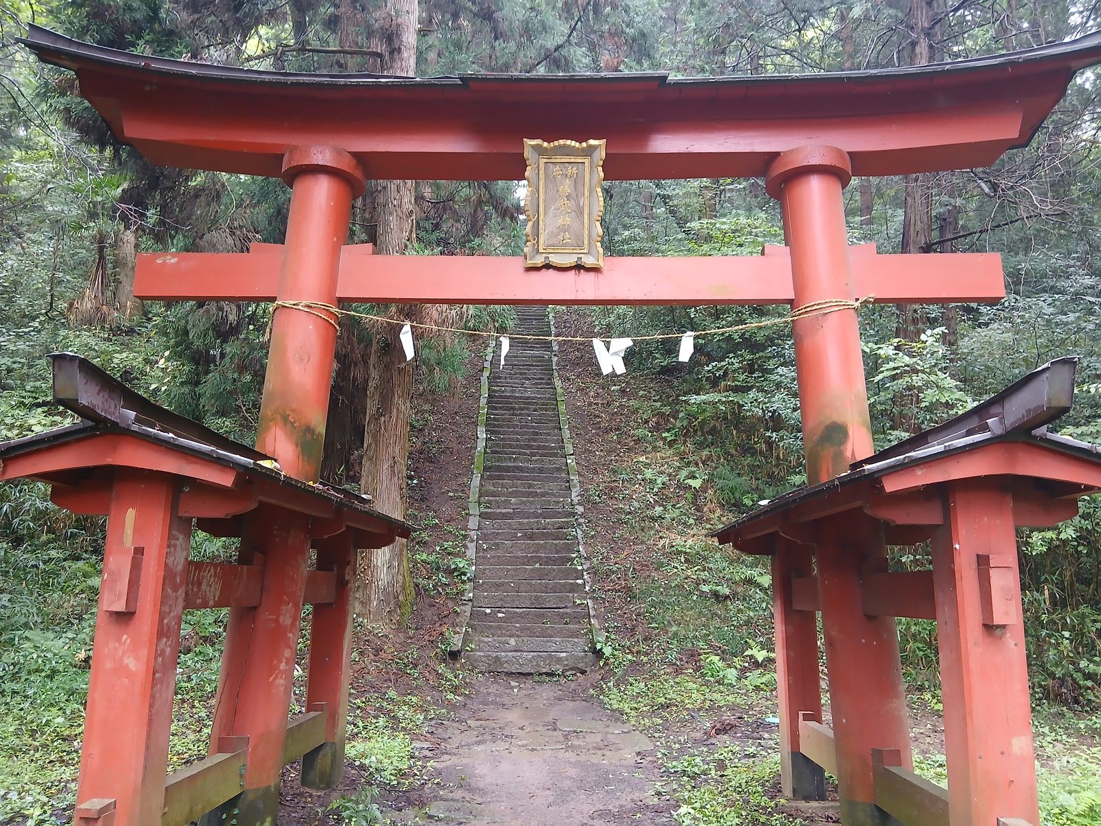 新府藤武神社の鳥居