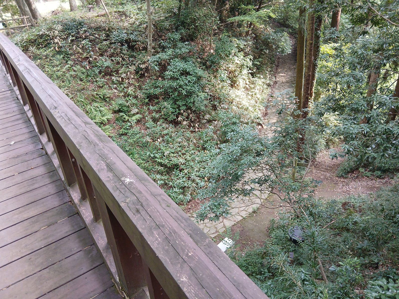 滝山城跡の引橋から見下ろす堀底