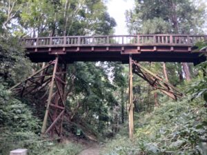 空堀の底から見上げた引橋