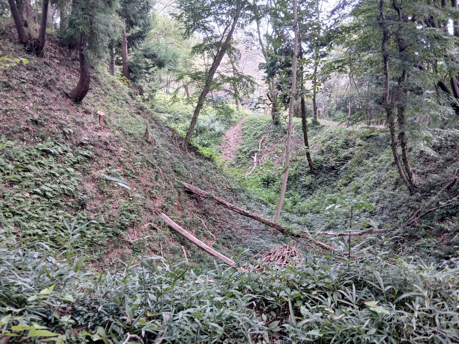 滝山城跡の大きな堀切